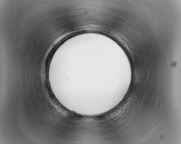 X0000097910931200804111109