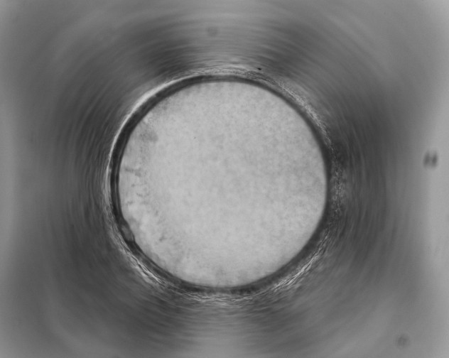 X0000097910932200804111109