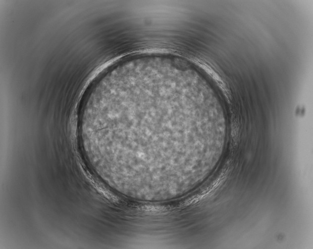 X0000097910933200804111109