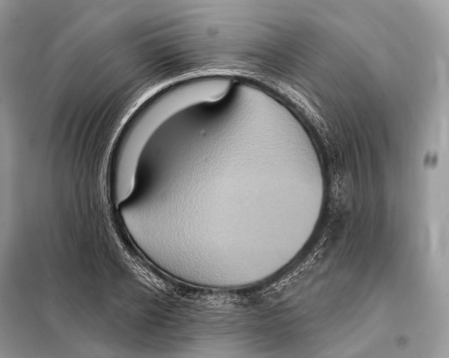 X0000097910934200804111109