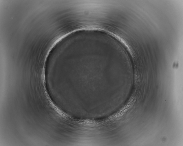 X0000097910935200804111109