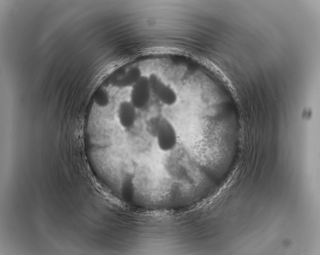 X0000097910937200804111109