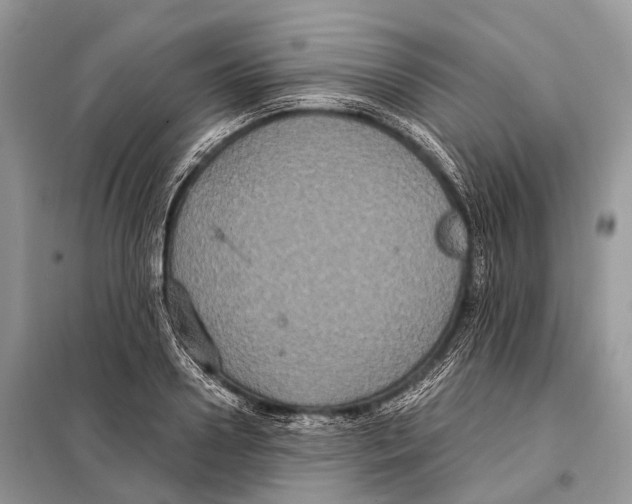 X0000097910938200804111109