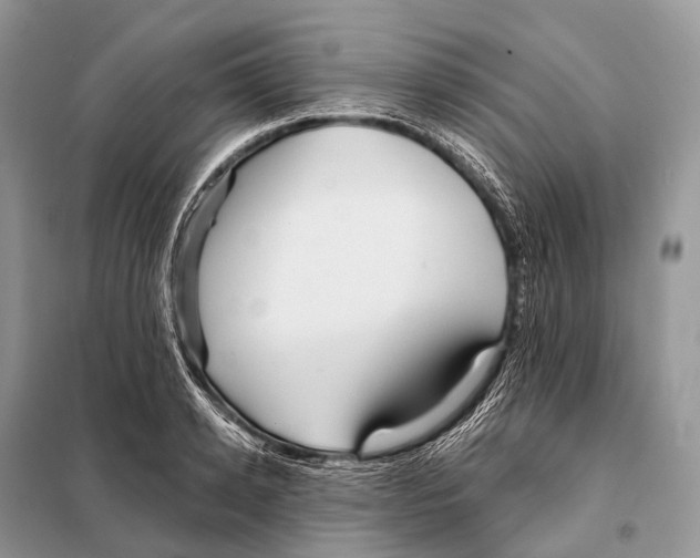 X0000097910942200804111109