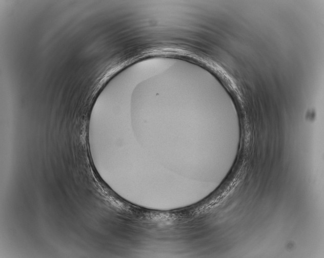 X0000097910945200804111109