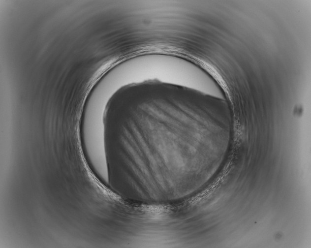 X0000097910946200804111109