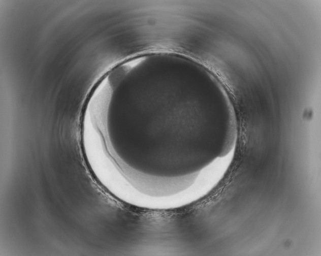 X0000097910950200804111109