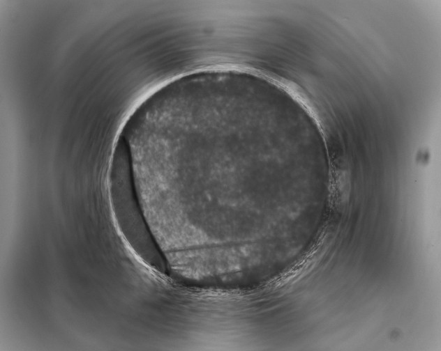 X0000097910951200804111109