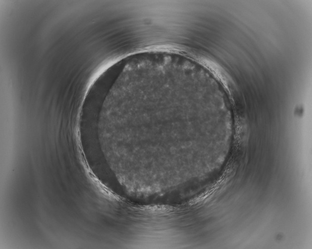 X0000097910952200804111109