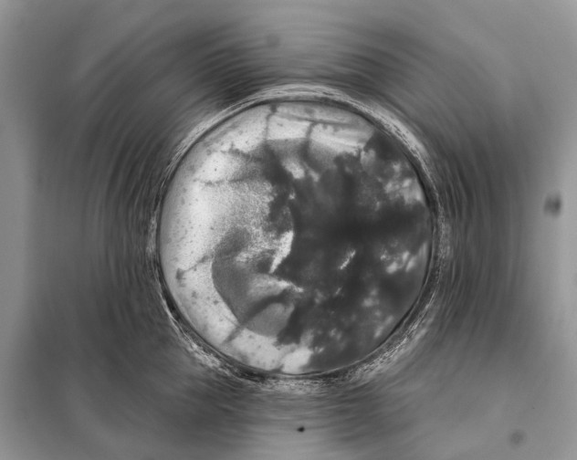 X0000097910953200804111109