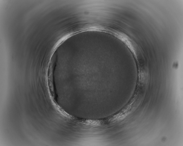 X0000097910954200804111109