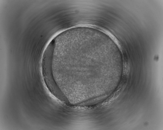 X0000097910955200804111109