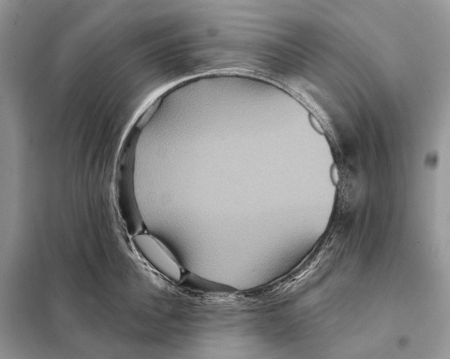 X0000097910956200804111109