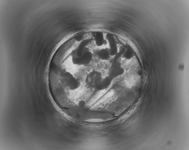 X0000097910957200804111109