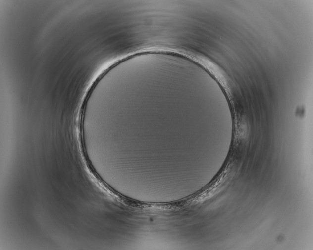 X0000097910958200804111109