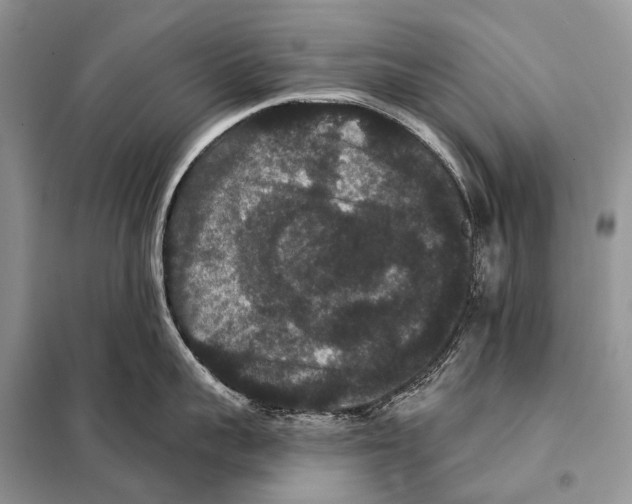 X0000097910959200804111109