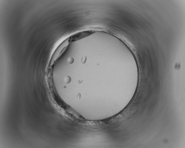 X0000097910960200804111109