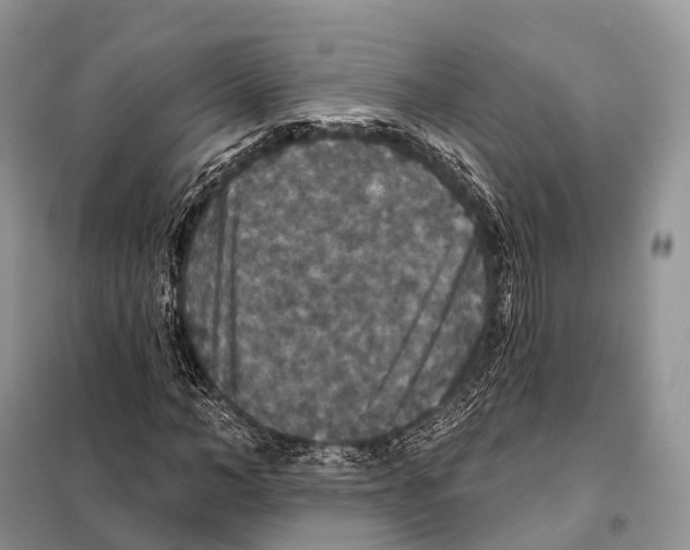 X0000097910966200804111108