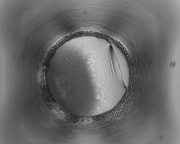 X0000097910968200804111108