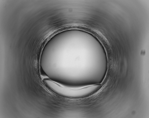 X0000097910969200804111108