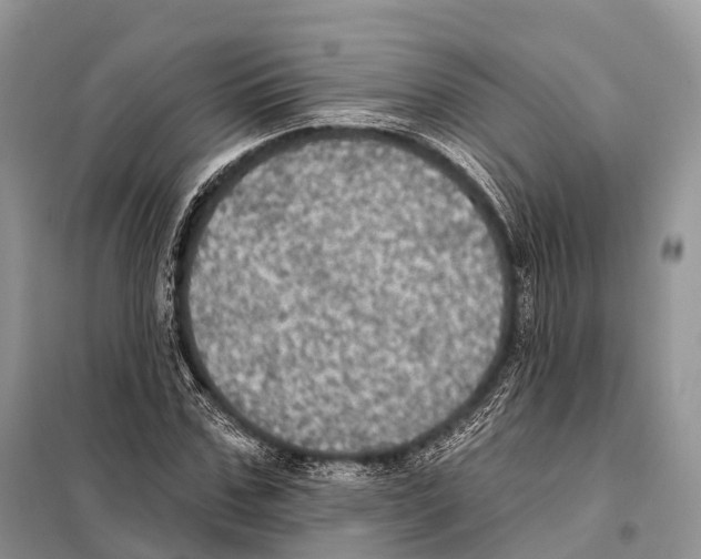 X0000097910971200804111108