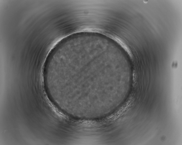 X0000097910972200804111108