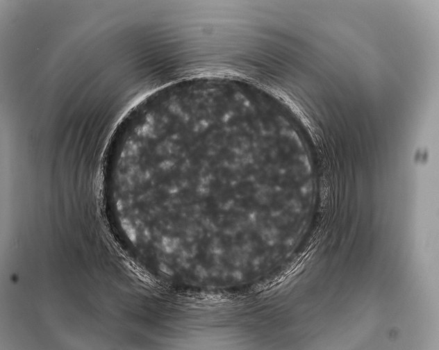 X0000097910975200804111108