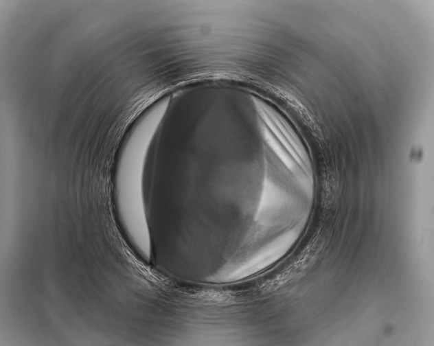 X0000097910977200804111108