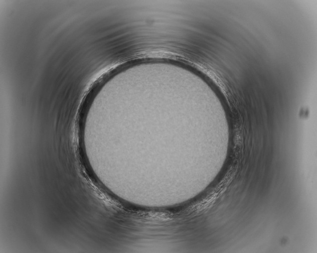 X0000097910979200804111108