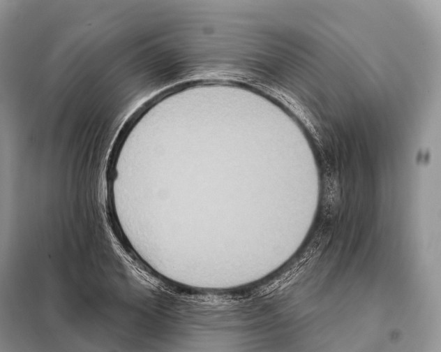 X0000097910980200804111108