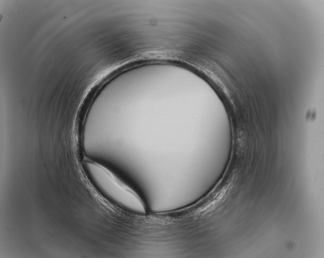 X0000097910981200804111108