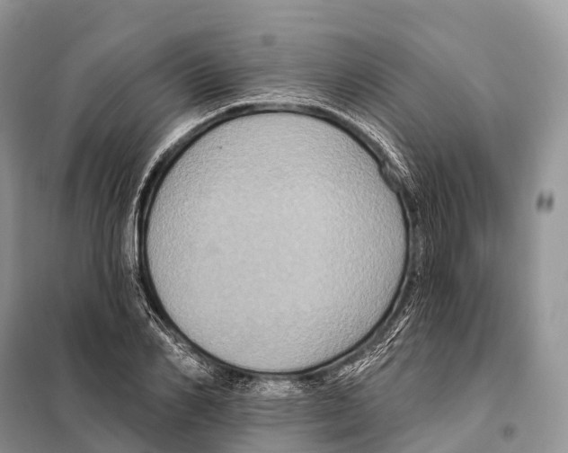 X0000097910982200804111108