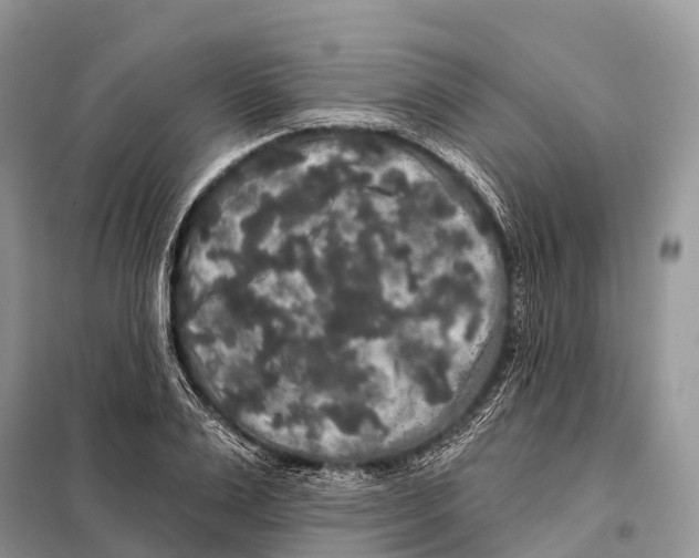 X0000097910983200804111108