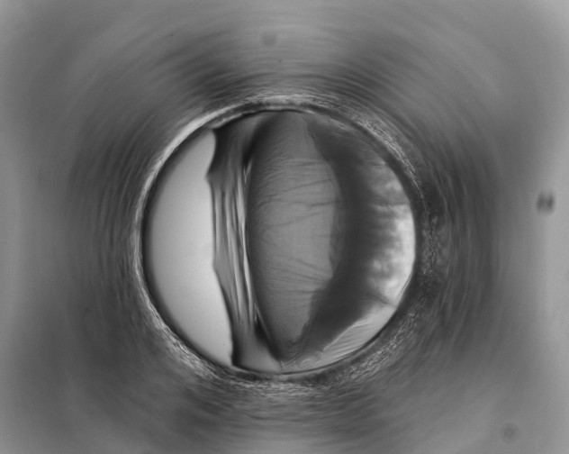 X0000097910984200804111108