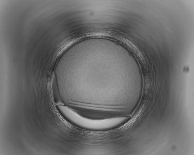 X0000097910985200804111108