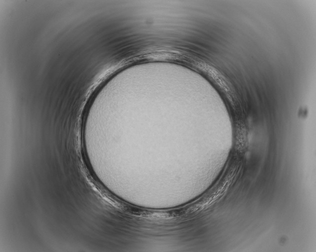 X0000097910986200804111108