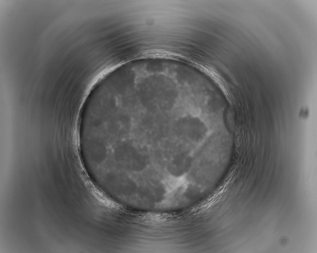 X0000097910987200804111108