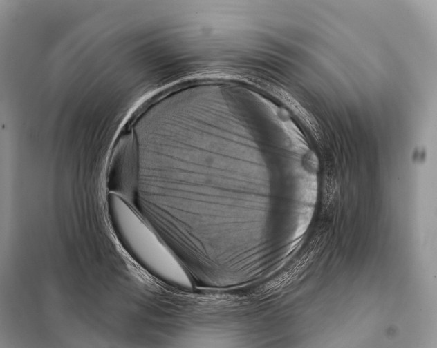 X0000097910988200804111108