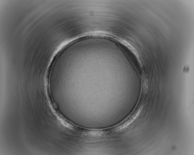 X0000097910989200804111108