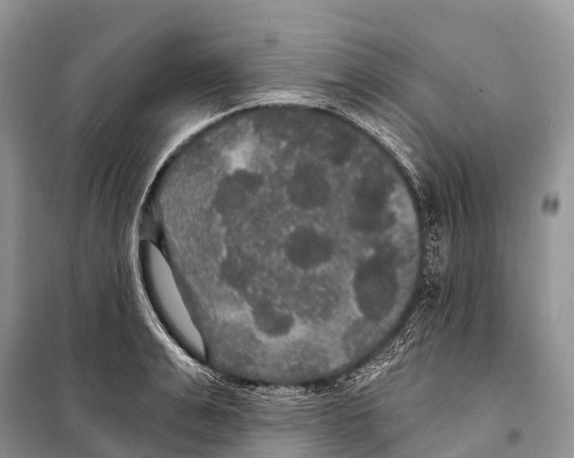 X0000097910991200804111108