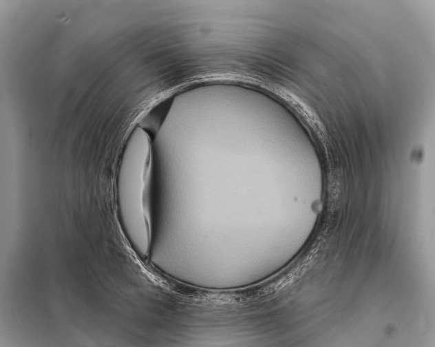 X0000097910993200804111108