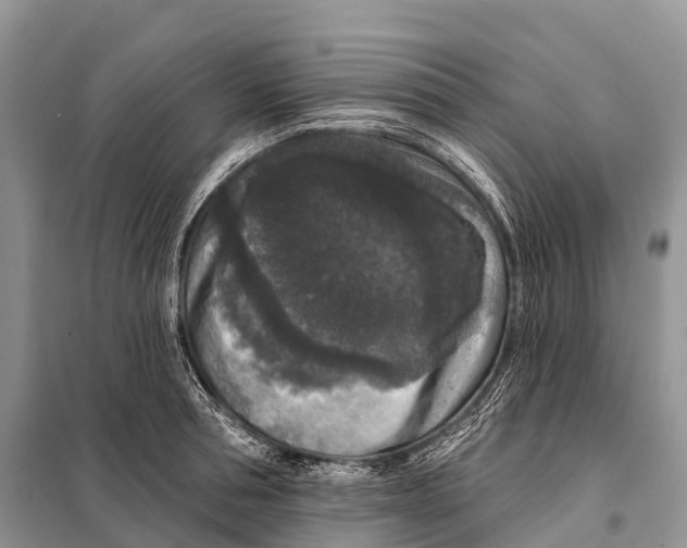 X0000097910994200804111108