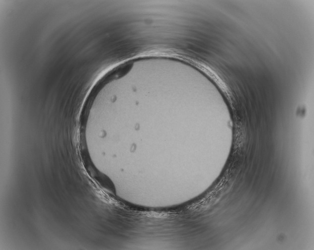 X0000097910996200804111108