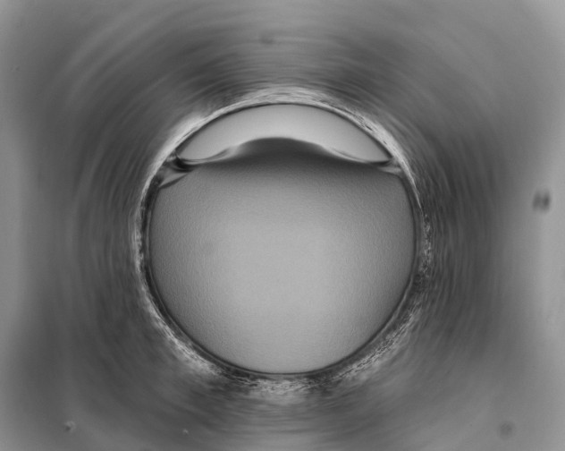 X0000097910997200804111108