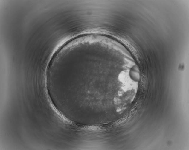 X0000097910998200804111108