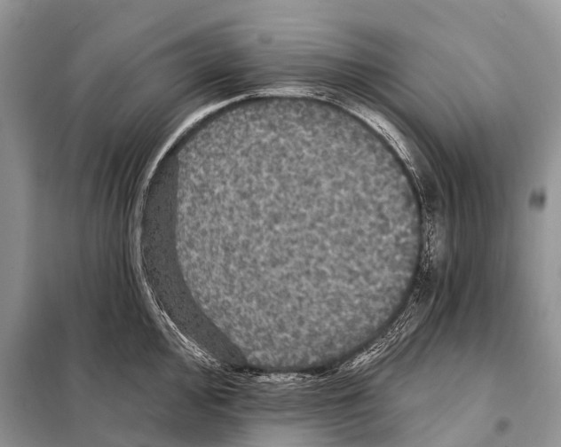 X0000097911000200804111108