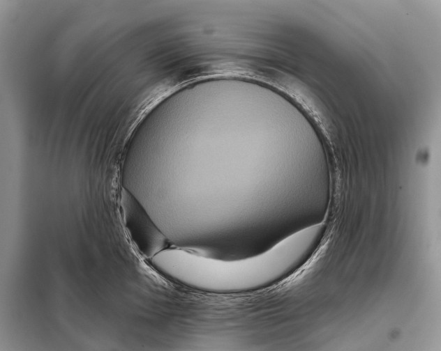 X0000097911001200804111108