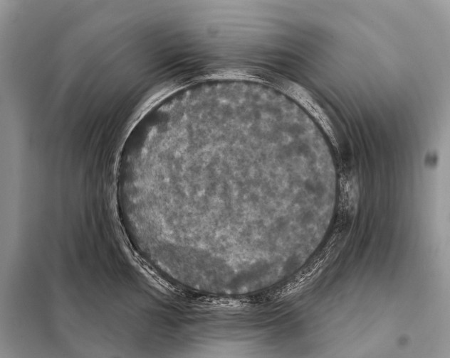 X0000097911002200804111107