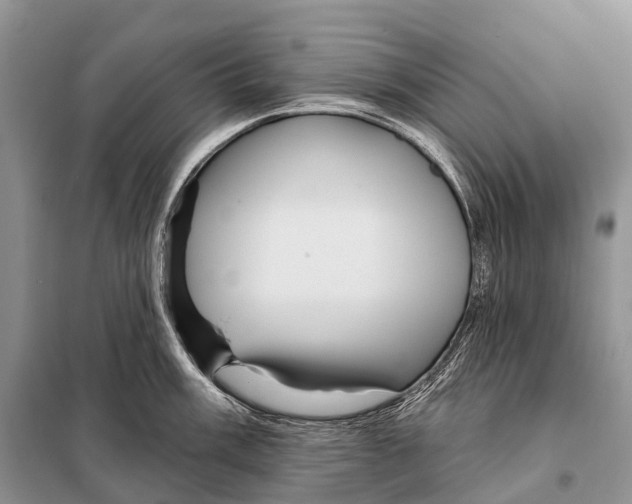 X0000097911003200804111107