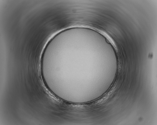 X0000097911004200804111107